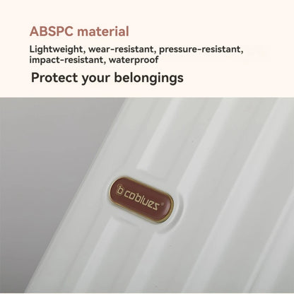 Expandable Anti-Scratch Smart Suitcase